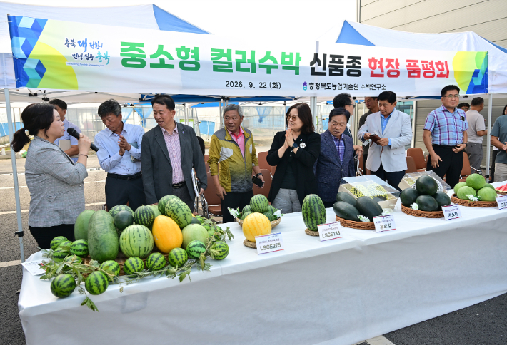 충청북도농업기술원 수박연구소 제공