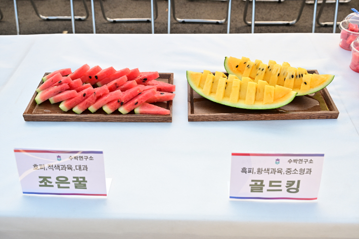 충청북도농업기술원 수박연구소 제공