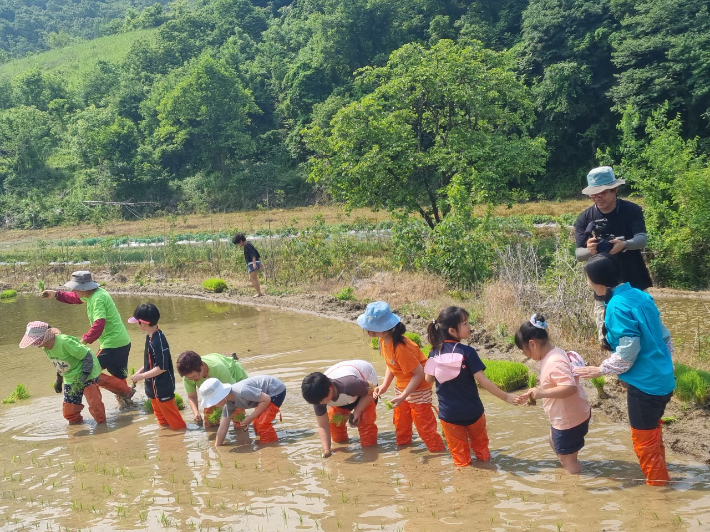 옥천교육지원청 제공
