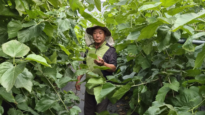 전남광주통합특별시 제공
