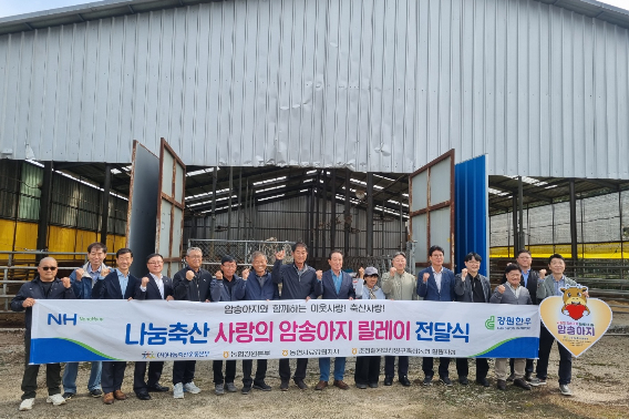 농협중앙회 강원본부는 19일 춘천철원화천양구축산농협과 철원군 동송읍·근남면 축산 농가를 찾아 '나눔축산 사랑의 암송아지 릴레이 전달식'을 개최했다. 강원농협 제공