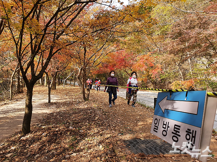 전북 정읍시 내장산 국립공원. 송승민 기자