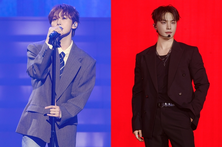 노컷뉴스 기사 이미지