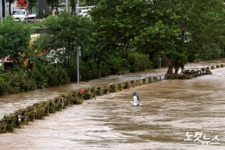 중랑천 홍수주의보 발령
