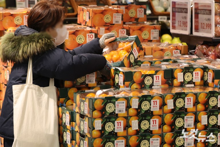 과일값 고공행진...제철 귤값 26% 급등