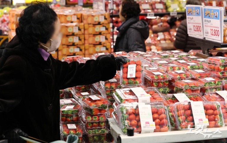겨울 제철과일 가격 급등