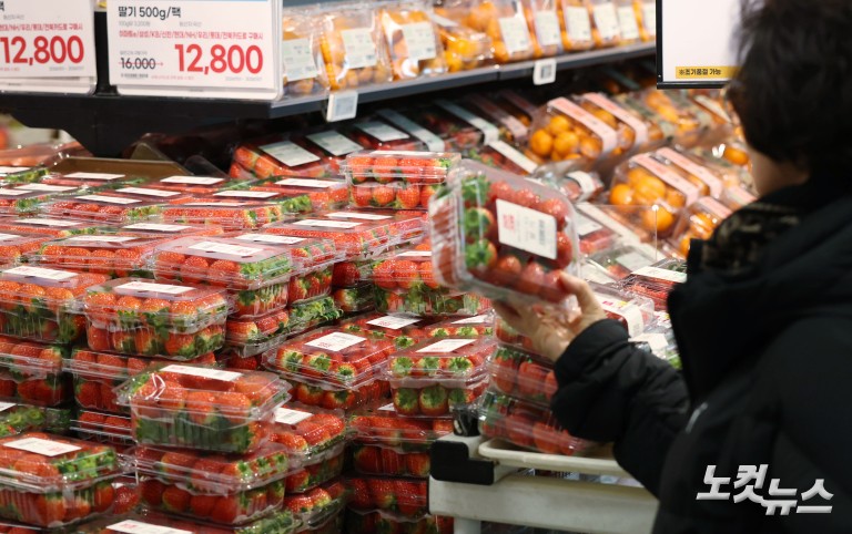 겨울 제철과일 가격 급등