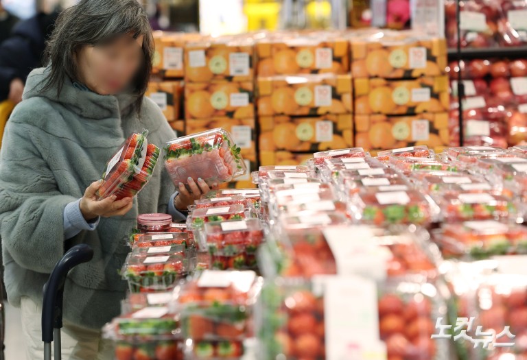 겨울 제철과일 가격 급등