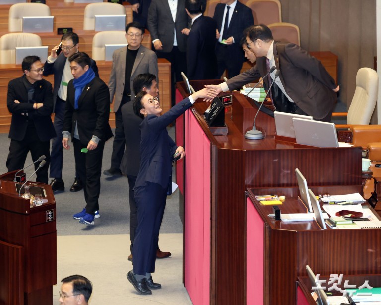 2차 종합특검법, 민주당 주도로 국회 통과