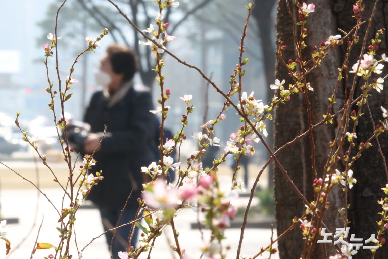 서울 미세먼지 비상저감조치 시행