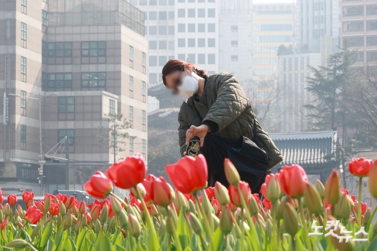 서울 미세먼지 비상저감조치 시행