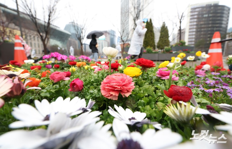 봄꽃 가득한 서울광장 '봄비가 내려요'