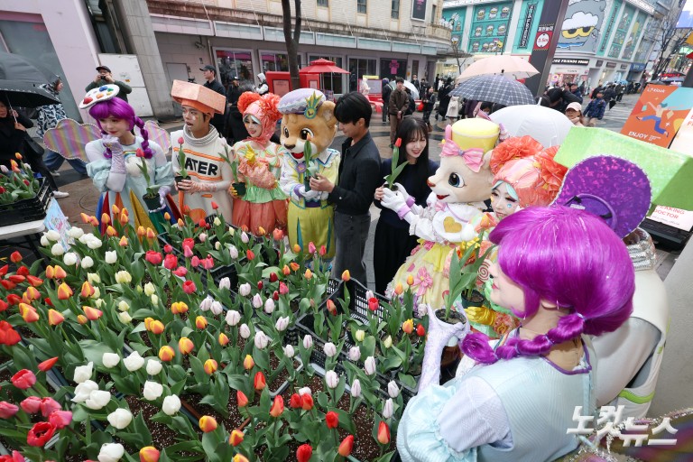 명동에서 미리 만나는 '에버랜드 튤립축제'