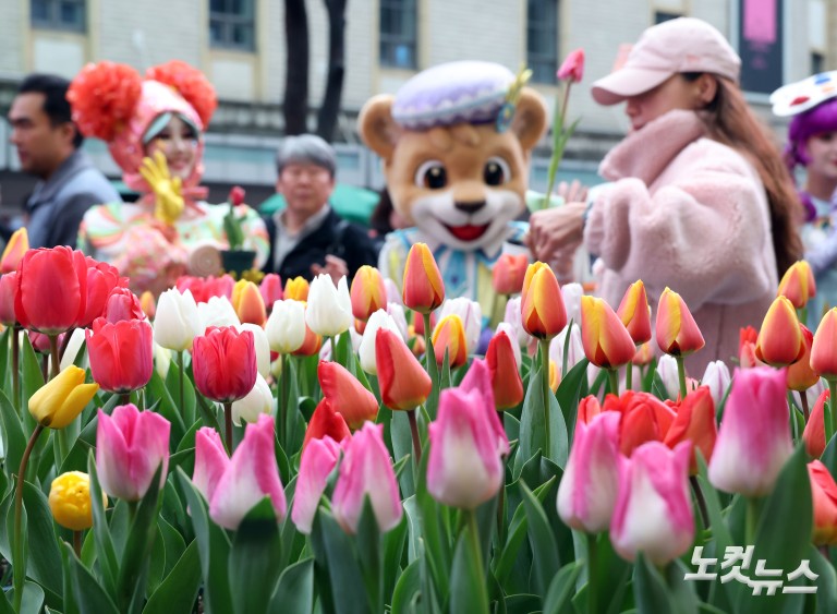 명동에서 미리 만나는 '에버랜드 튤립축제'