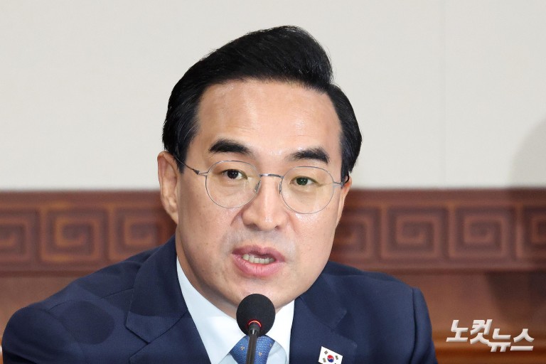 김민석, 임시국무회의 주재