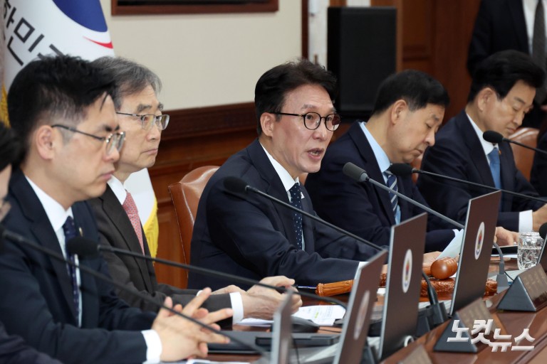 김민석, 임시국무회의 주재