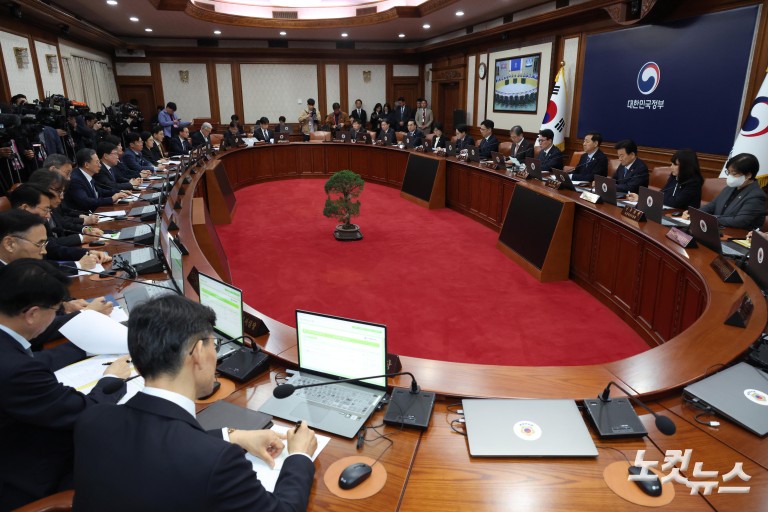 김민석, 임시국무회의 주재