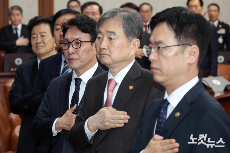 김민석, 임시국무회의 주재