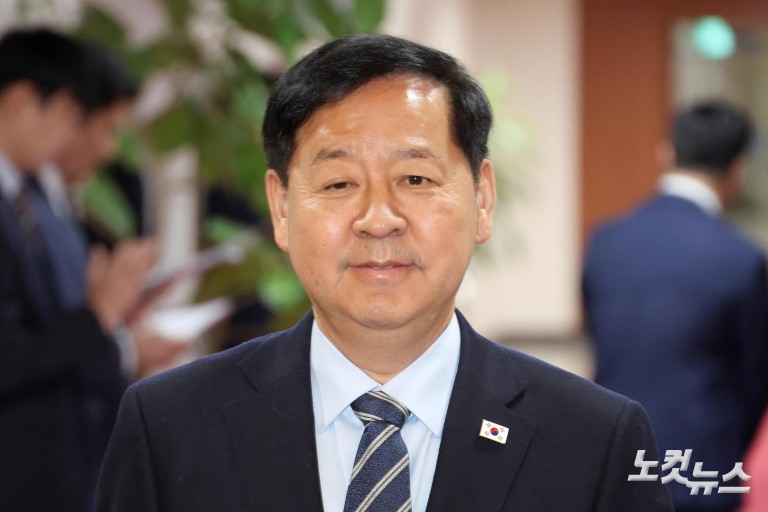 김민석, 임시국무회의 주재