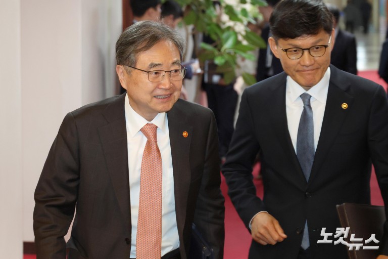 김민석, 임시국무회의 주재