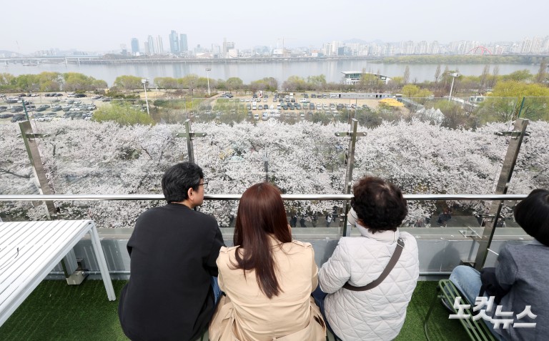 '활짝 핀 벚꽃' 여의도 봄꽃축제 개막