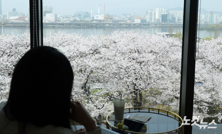 '활짝 핀 벚꽃' 여의도 봄꽃축제 개막