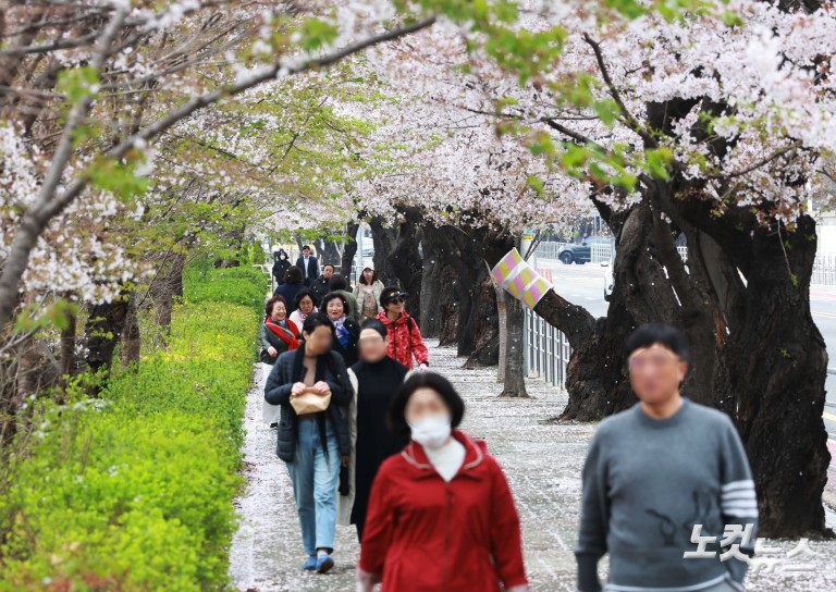 다가오는 벚꽃엔딩