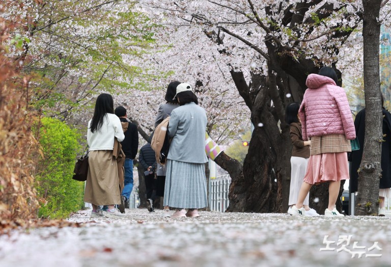 다가오는 벚꽃엔딩