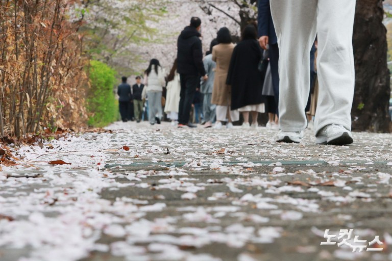 다가오는 벚꽃엔딩