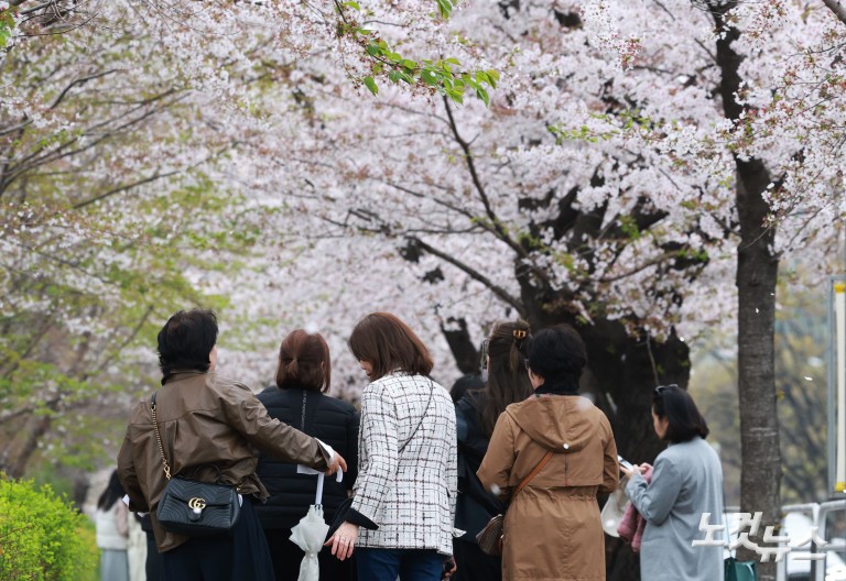 다가오는 벚꽃엔딩