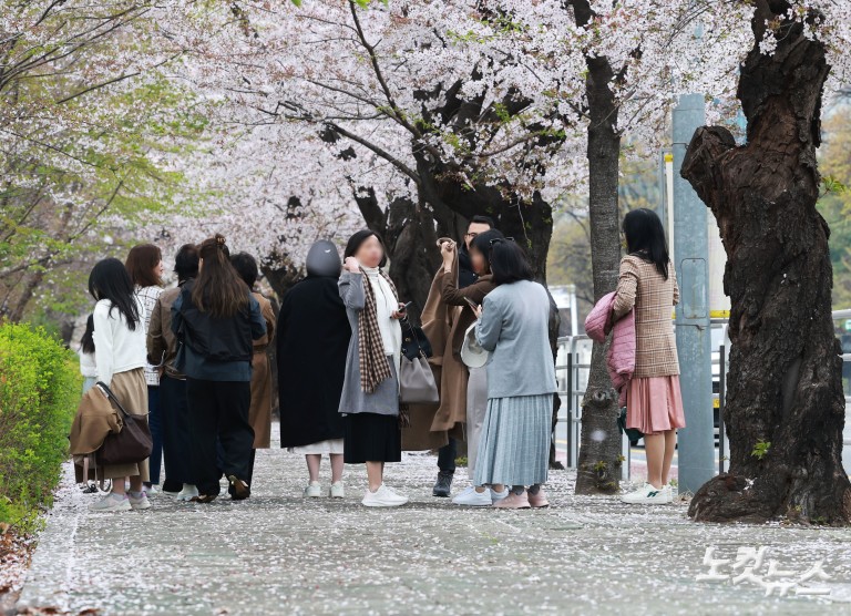 다가오는 벚꽃엔딩