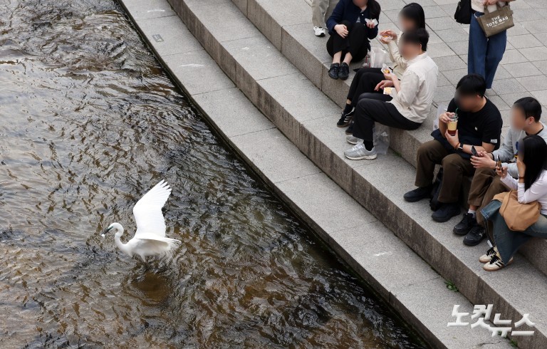 4월에 28도?…때 이른 초여름 날씨