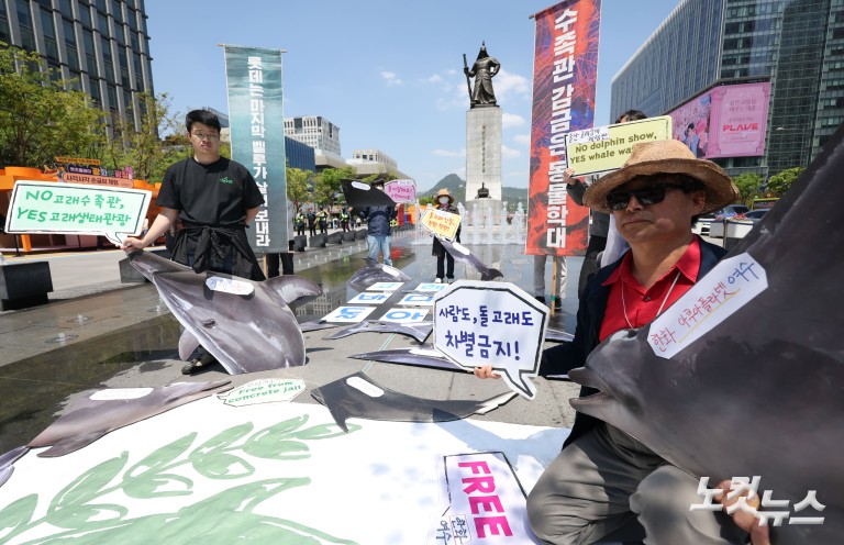 환경운동연합, 수족관 돌고래 자연 복귀 촉구 기자회견