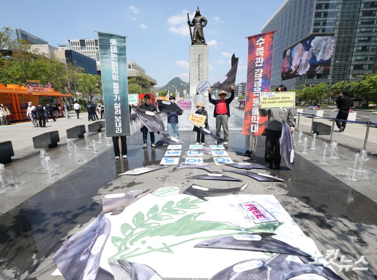 환경운동연합, 수족관 돌고래 자연 복귀 촉구 기자회견