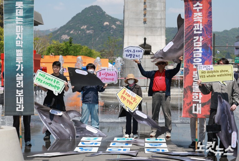 환경운동연합, 수족관 돌고래 자연 복귀 촉구 기자회견
