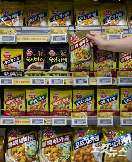 오뚜기, 카레·케첩 가격 인상…16일부터 최대 17%