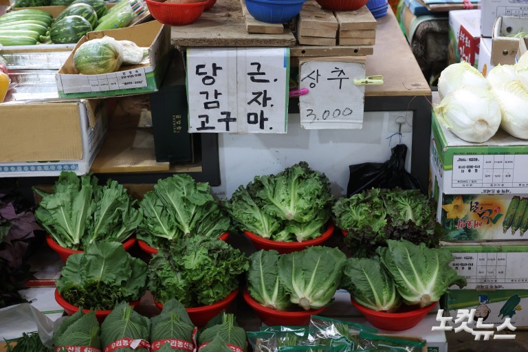 폭염에 채솟값↑장바구니 물가 부담