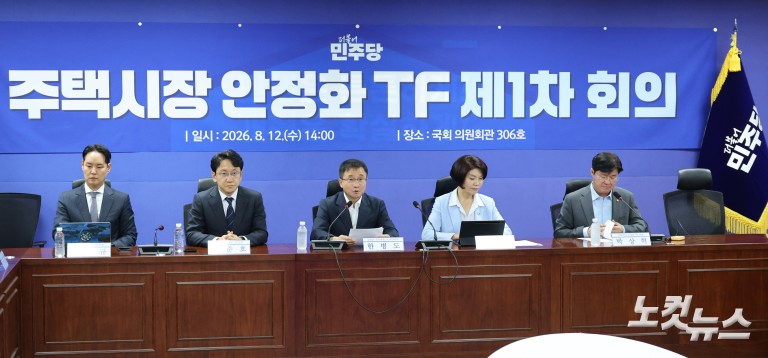더불어민주당 주택시장 안정화 TF 제1차 회의