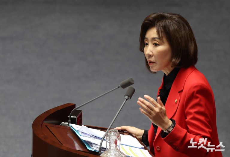국회 본회의 정치분야 대정부질문