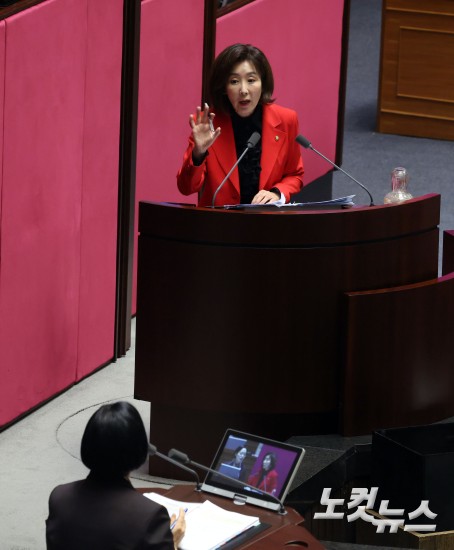 국회 본회의 정치분야 대정부질문