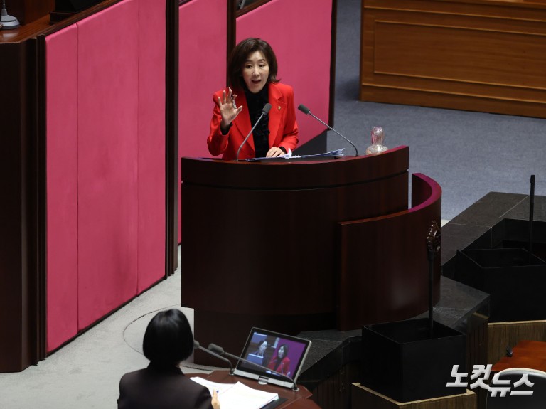 국회 본회의 정치분야 대정부질문