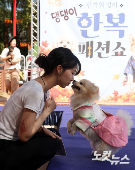 추석맞이 '댕댕이 한복 패션쇼'