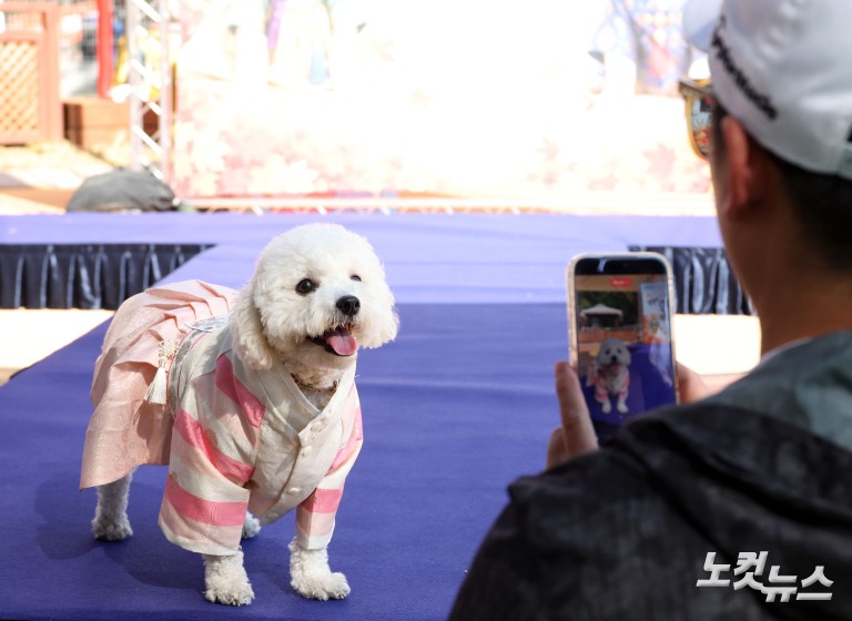 추석맞이 '댕댕이 한복 패션쇼'