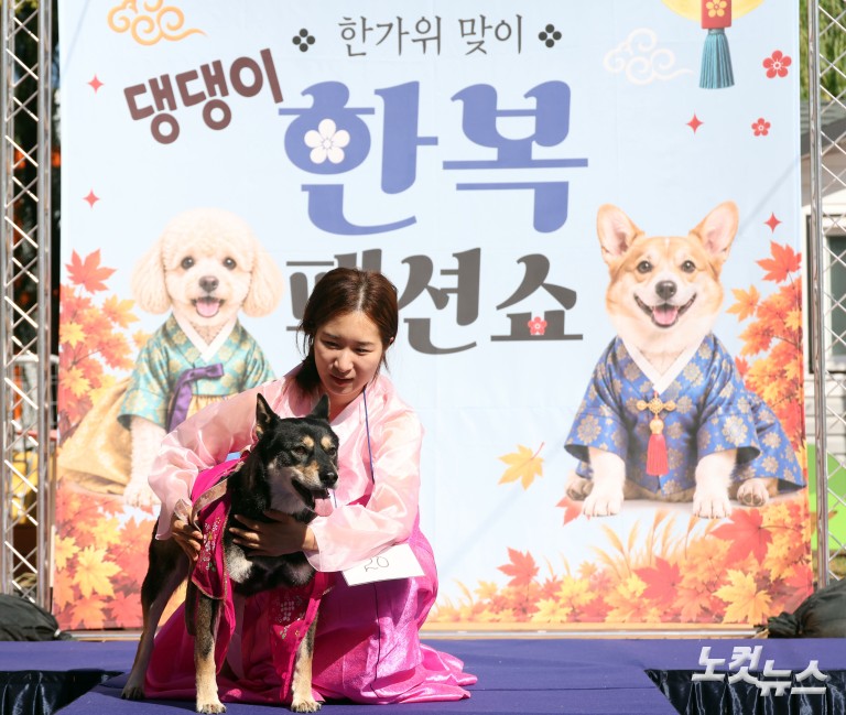 추석맞이 '댕댕이 한복 패션쇼'
