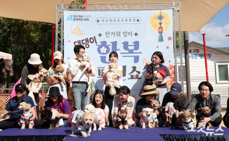 추석맞이 '댕댕이 한복 패션쇼'
