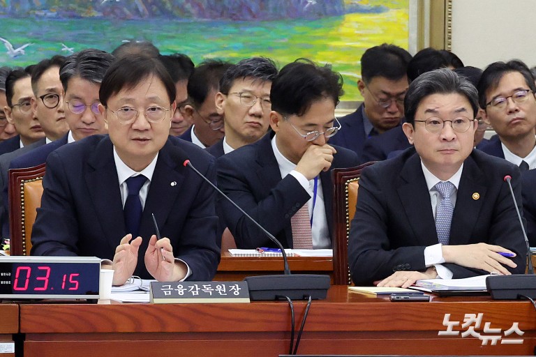 국회 정무위, 금융위원회·금융감독원 등 종합감사