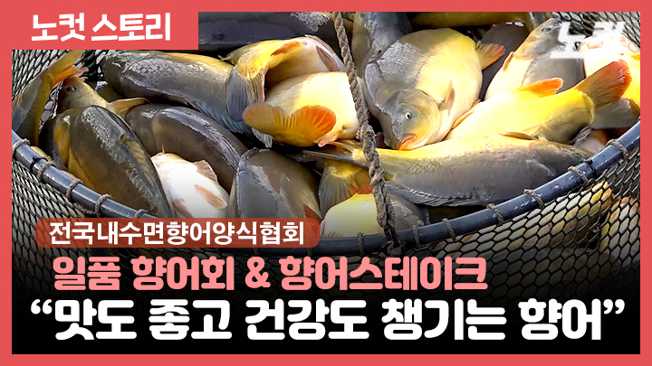 "맛도 좋고 건강도 챙기는 향어"